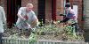Volunteers preparing a planter at Arlington Street in Stockton