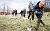 An image showing young children planting trees in the Borough