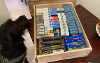working dog with counterfeit and illegal cigarettes 