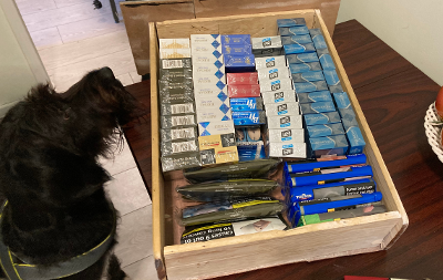 working dog with counterfeit and illegal cigarettes 